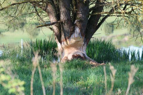 06_Rund um den Stausee am 01. Mai 2025