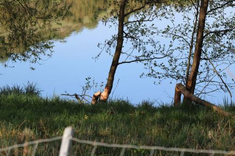 07_Rund um den Stausee am 01. Mai 2025