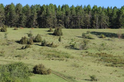 08_Rund um den Stausee am 01. Mai 2025