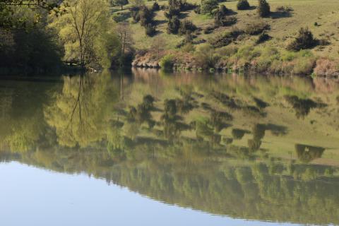 12_Rund um den Stausee am 01. Mai 2025