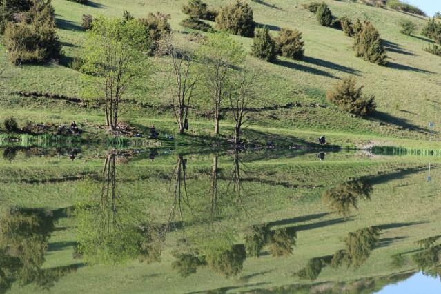 14_Rund um den Stausee am 01. Mai 2025