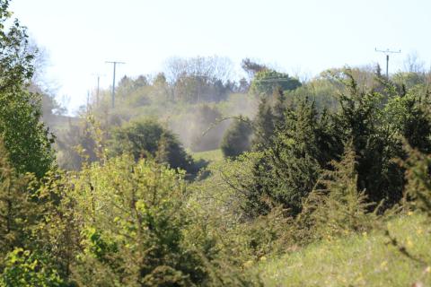 20_Rund um den Stausee am 01. Mai 2025