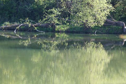 21_Rund um den Stausee am 01. Mai 2025