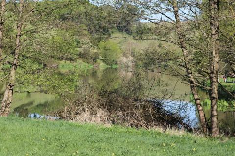 25_Rund um den Stausee am 01. Mai 2025