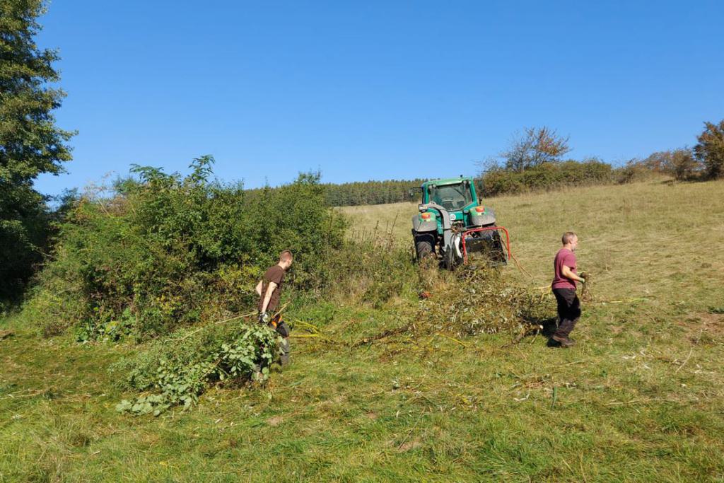 05_Arbeit_21_09_24