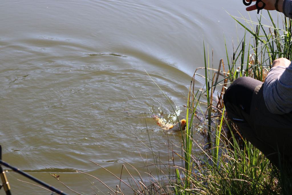 31_Rund um den Stausee am 01. Mai 2025